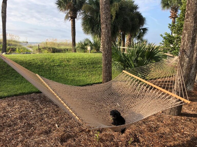 carl hammock