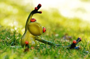 frog, nature, yoga-1109792.jpg