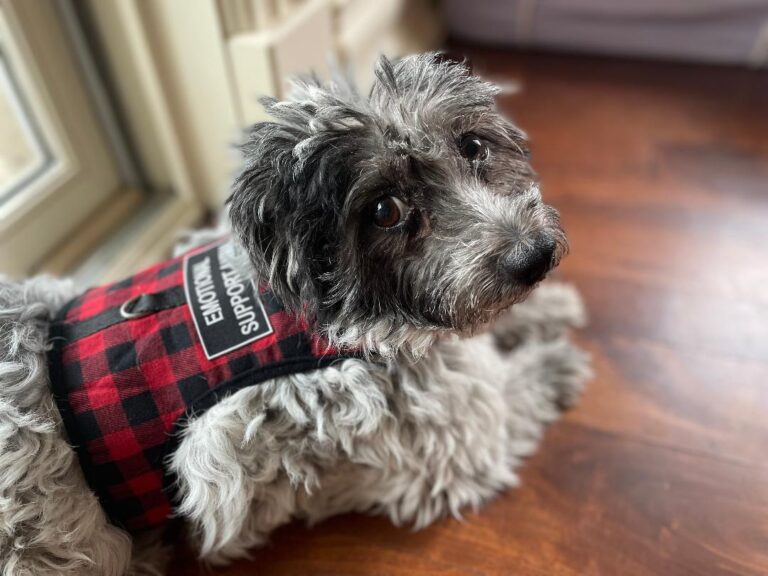 lucia with vest
